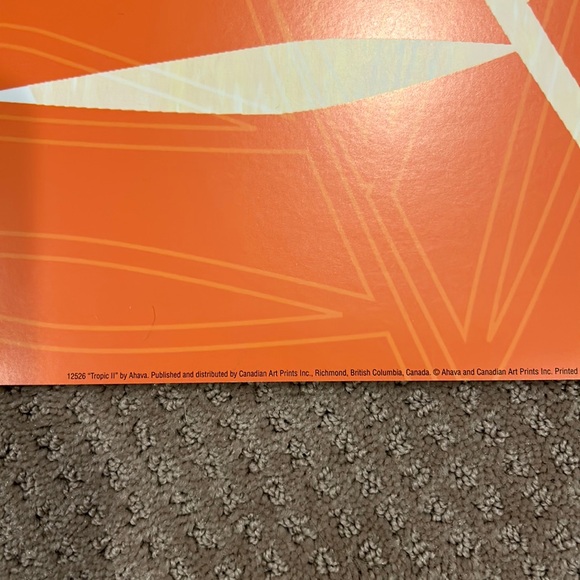 Tropic Poster #2 - by AHAVA. Unframed poster 12 x 36 printed on recycled pap… - Picture 5 of 7